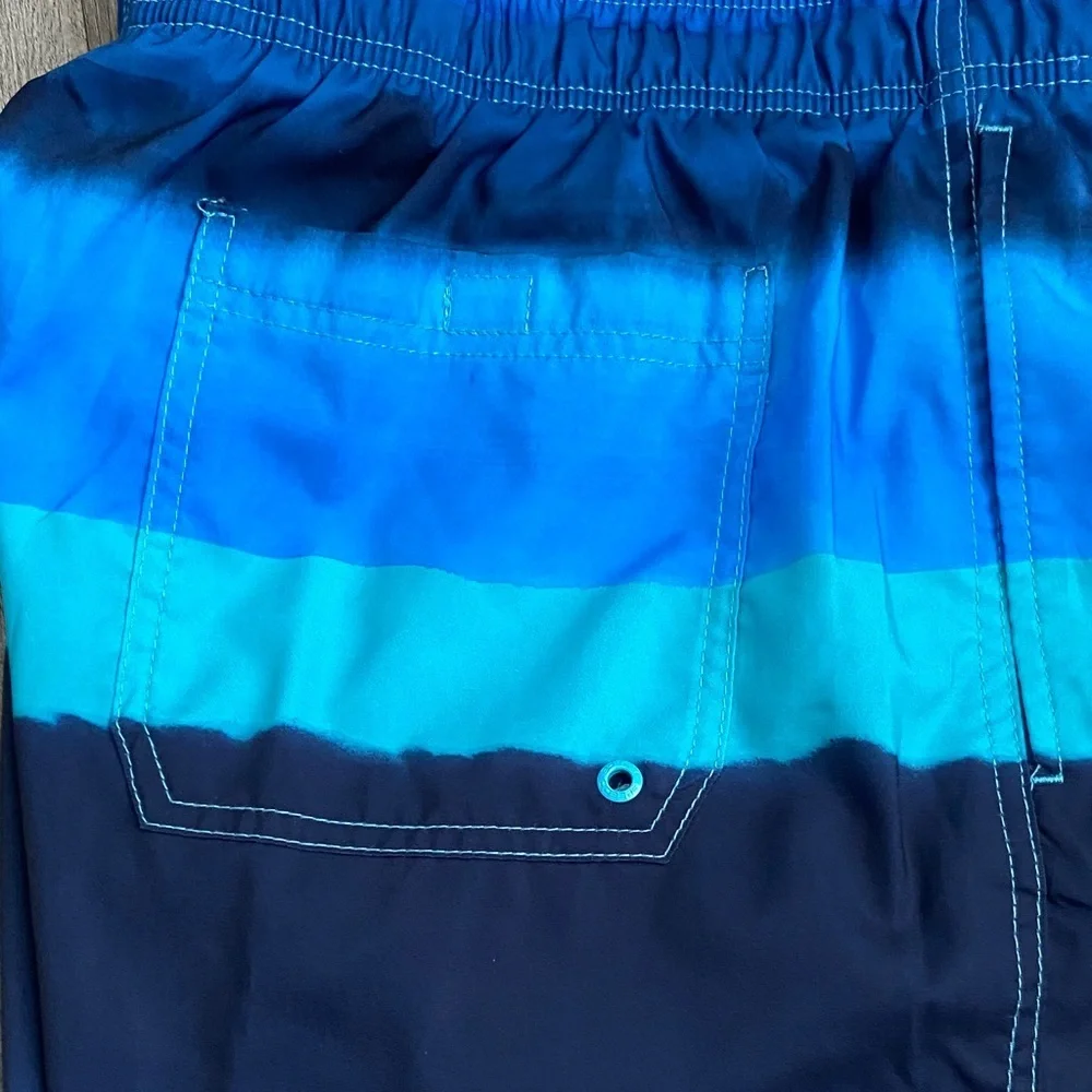 Speedo Men's Swimm Shorts in Blue and Black